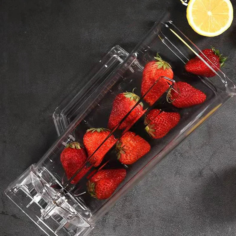 BlendFruit Pro-Blender